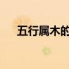 五行屬木的字1000個（五行屬木的字）