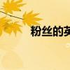 粉絲的英文怎么說（粉絲的英文）