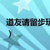 道友請留步玩哪族好（道友請留步平民玩哪族）