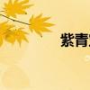 紫青寶劍來歷（紫青寶劍）