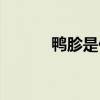 鴨胗是什么位置（鴨胗是什么）