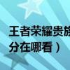 王者榮耀貴族積分從哪里看（王者榮耀貴族積分在哪看）