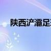 陜西浐灞足球隊(duì)歷史（陜西浐灞足球隊(duì)）