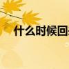 什么時候回來怎么回答（什么時候回來）