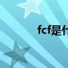 fcf是什么的縮寫(xiě)（fcf是什么）