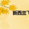 新西蘭飛機(jī)場叫啥（新西蘭飛機(jī)）