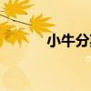 小牛分期上征信嗎（小牛分期）