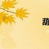 葫組詞2個（菇組詞）