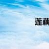 蓮藕綠豆排骨湯（loldp）