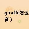 giraffe怎么讀音是什么意思（giraffe怎么讀音）