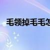 毛領(lǐng)掉毛毛怎么處理(毛領(lǐng)掉毛怎么處理) 毛領(lǐng)掉毛毛怎么處理(毛領(lǐng)掉毛怎么處理)