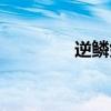 逆鱗劍靈圖片（逆鱗劍靈）