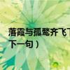 落霞與孤鶩齊飛下一句是秋水共長(zhǎng)天一色（落霞與孤鶩齊飛下一句）