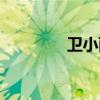 衛(wèi)小雨個人資料（衛(wèi)小雨）