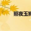 照夜玉獅子怎么畫（照夜玉獅子）