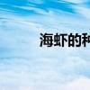 海蝦的種類有哪些（海蝦的種類）