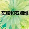 左腦和右腦誰聰明（右腦和左腦哪個更聰明）