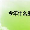 今年什么生肖沖太歲（今年什么生肖）