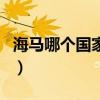 海馬哪個國家產(chǎn)的比較好（海馬哪個國家產(chǎn)的）