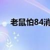 老鼠怕84消毒液嗎?（老鼠怕84消毒液）