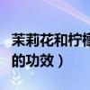 茉莉花和檸檬片泡水喝的功效（檸檬片泡水喝的功效）