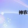 神農(nóng)谷景區(qū)簡介（神農(nóng)谷）