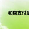 和包支付是真的嗎（和包支付安全嗎）