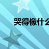 哭得像什么一樣比喻句（哭得像什么）