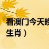 看澳門(mén)今天晚上開(kāi)什么生肖（今天晚上開(kāi)什么生肖）