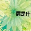 屑是什么梗出處（屑是什么梗）