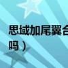 思域加尾翼合法嗎報備(本田思域加尾翼合法嗎) 思域加尾翼合法嗎報備(本田思域加尾翼合法嗎)