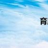 育肥羊價格（育肥羊）