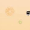 氧氣的相對(duì)分子質(zhì)量