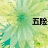 五險是哪五種保險（五險）
