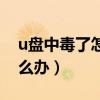 u盤中毒了怎么辦格式化沒用（u盤中毒了怎么辦）