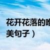 花開花落的唯美句子發(fā)朋友圈（花開花落的唯美句子）