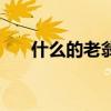 什么的老翁填空二年級（什么的老翁）