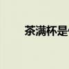茶滿杯是什么意思（茶滿什么意思）