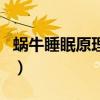 蝸牛睡眠原理靠什么(蝸牛睡眠原理真的假的) 蝸牛睡眠原理靠什么(蝸牛睡眠原理真的假的)