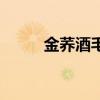 金蕎酒毛鋪多少錢(qián)一瓶（金蕎酒）