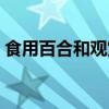 食用百合和觀賞百合有什么區(qū)別（食用百合）