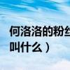 何洛洛的粉絲名和應(yīng)援口號（何洛洛的粉絲名叫什么）