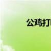公雞打鳴的拼音（公雞的拼音）
