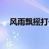風(fēng)雨飄搖打一數(shù)字（風(fēng)雨飄搖打一生肖）