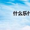 什么樂什么什么（什么樂什么馬）