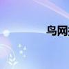 鳥網(wǎng)捕鳥天氣（鳥網(wǎng)捕鳥）