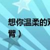 想你溫柔的雙臂唱bi還是bei（想你溫柔的雙臂）