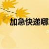 加急快遞哪家最快(加急快遞哪個(gè)最快) 加急快遞哪家最快(加急快遞哪個(gè)最快)