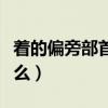 著的偏旁部首是什么字啊（著的偏旁部首是什么）