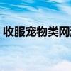 收服寵物類網(wǎng)游小說（收服寵物類玄幻小說）